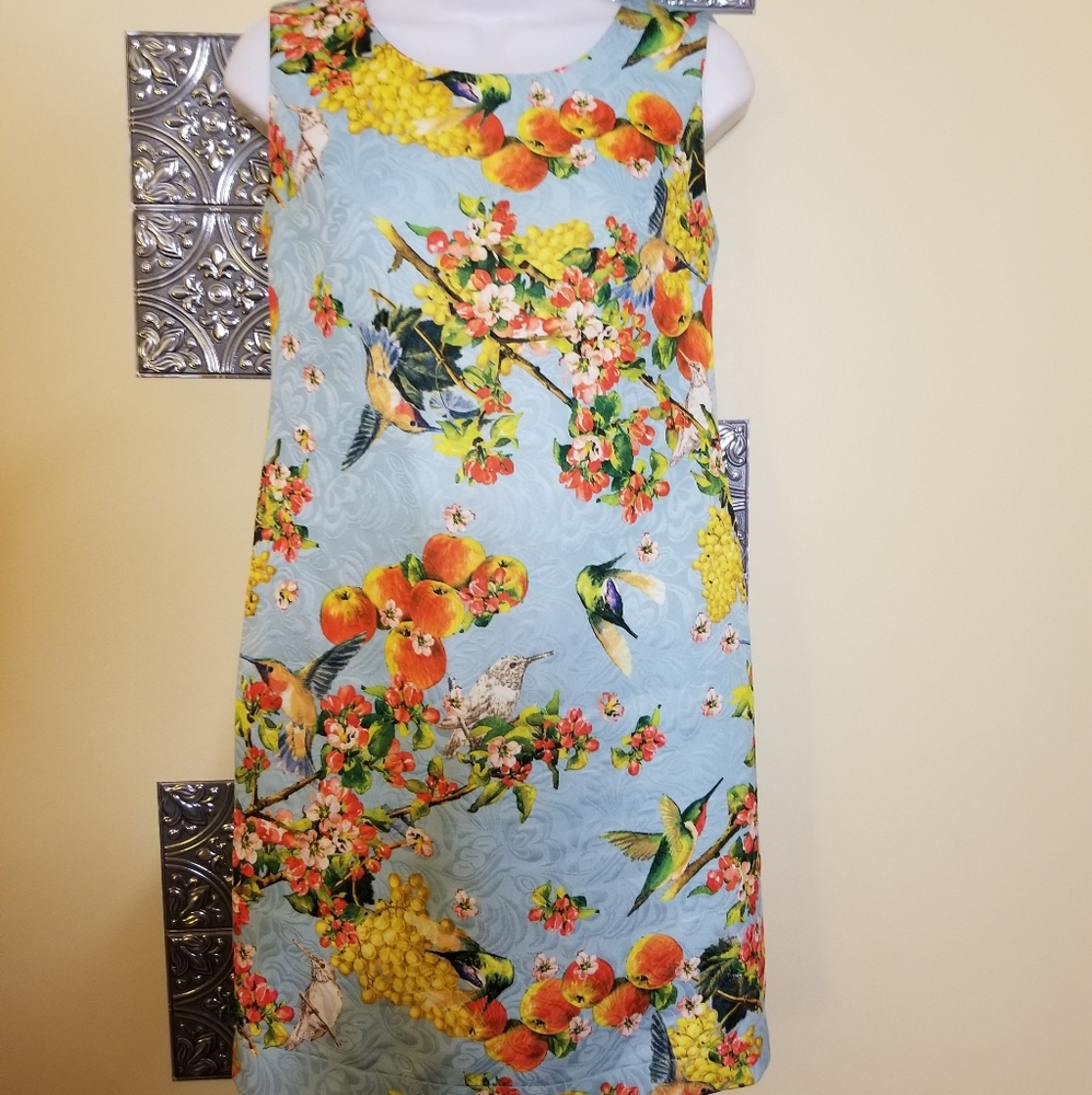 Vintage/Retro Custom Dress Floral Hummingbirds S/M